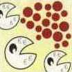 enzyme-urine-1