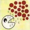 enzyme-urine-2
